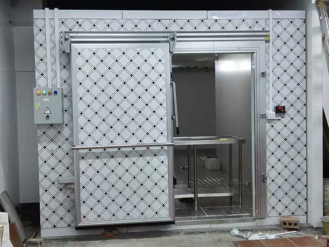 Walkin Cold Room Commercial Refrigerator Freezer Double Sided Color