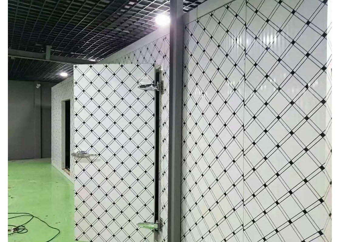 Commercial WalkIn Refrigerator Freezer Large Indoor Cold Room