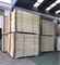 Walk - in Cold Room Commercial Refrigerator Freezer Double Sided Polyurethane Thermal Insulation Board