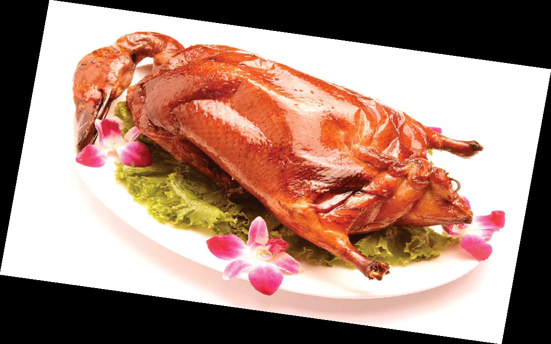 Stainless Steel Gas Duck Roaster Single Insulated Layer Duck Cooking Stove