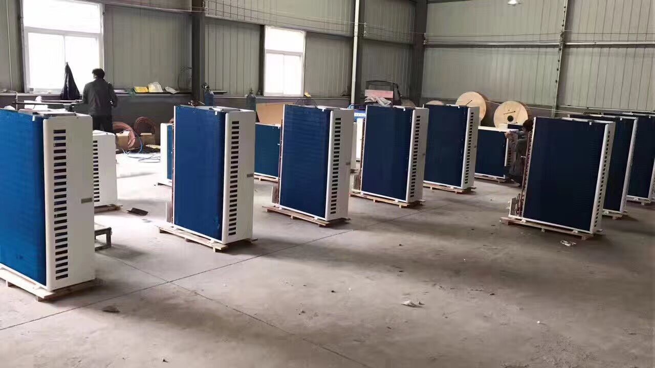 Walk in Cold Room Commercial Refrigerator Freezer Double Sided